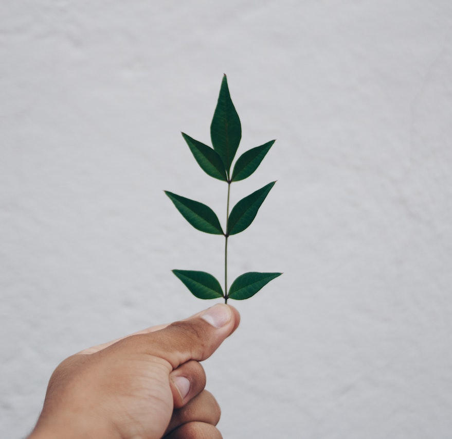 Les débuts de l'agence