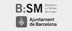bsm bsm