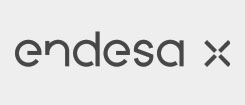 endesax endesax