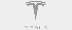 tesla tesla